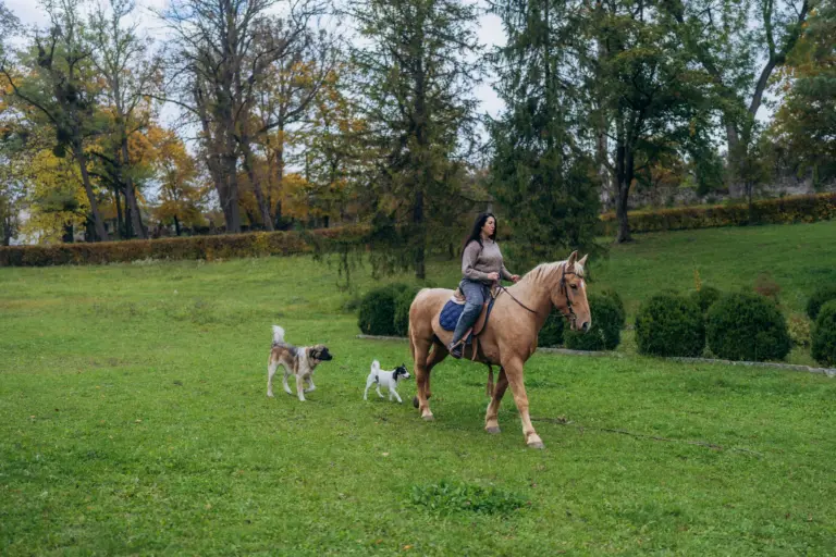 Anastasija Donec, ředitelka Malijeveckého regionálního historického a kulturního muzea, jede na koni. Maljívce, Podillja. Říjen 2025. Expedice Podilljím. Foto: Sofija Soljar.