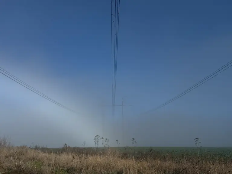 Elektrické vedení zničené nepřátelskými akcemi. Podniprovja a Zaporižžja. Listopad 2025. Foto: Pavlo Paško.
