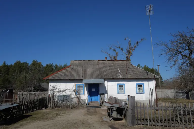 3(small)_Ratynskyi