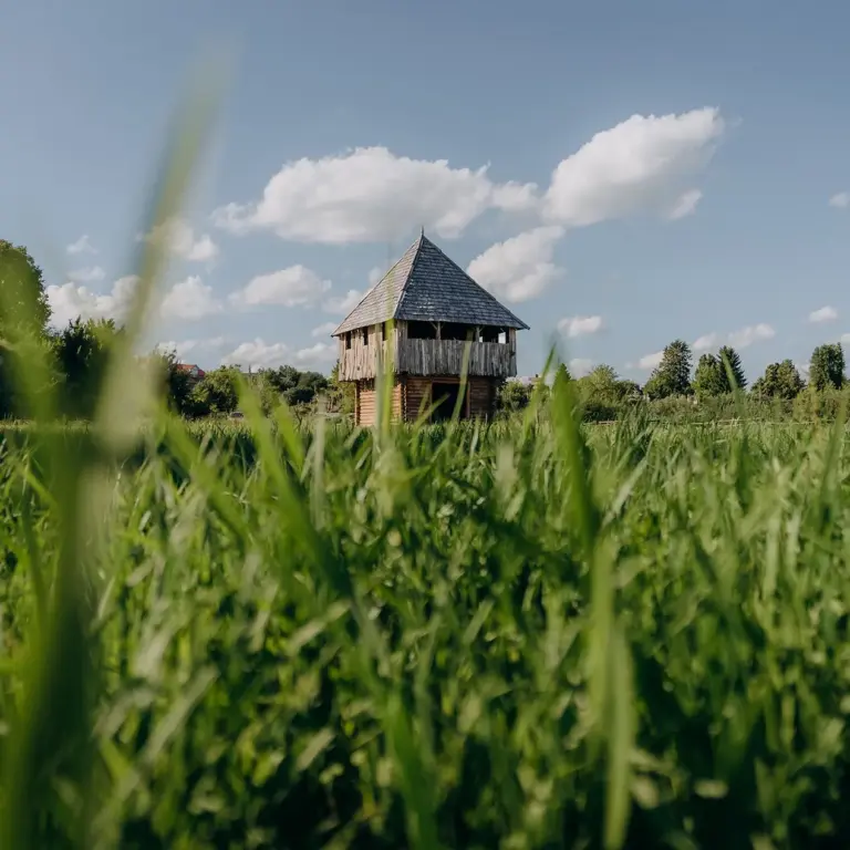 Парк історичної реконструкції «Оствиця» й етнопарк «Ладомирія» — простори, в яких команди ентузіастів оживляють історію Волині.Фото: Софія Соляр.